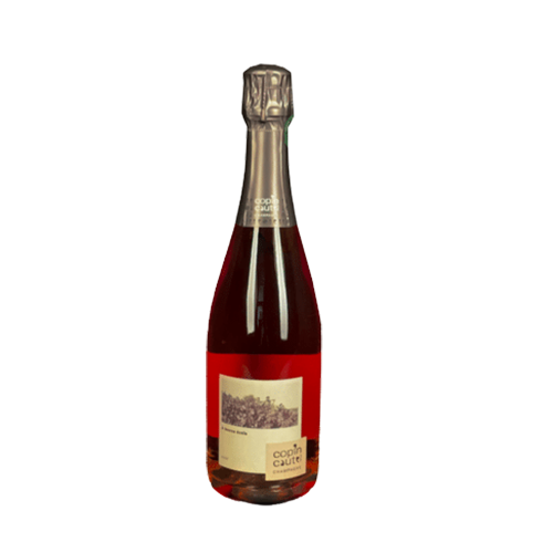 Copin-Cautel À bonne école Brut (0,75L)